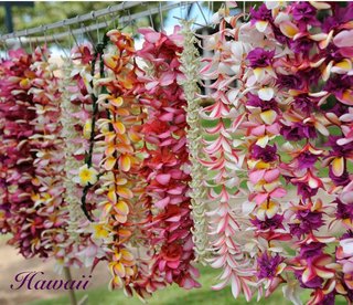 Hawaii - 2012