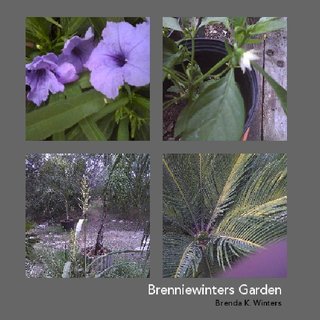 Brenniewinter's Garden