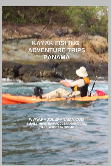paddle to the sea book pdf