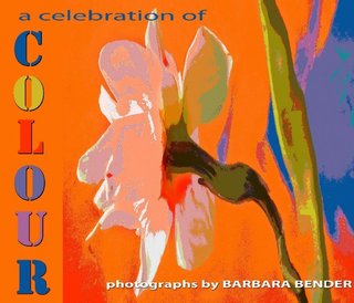 a celebration of COLOUR