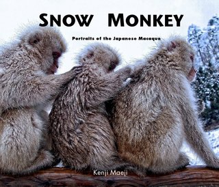 SNOW MONKEY