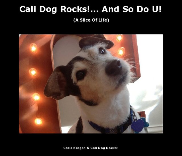 Cali Dog Rocks!... And So Do U!