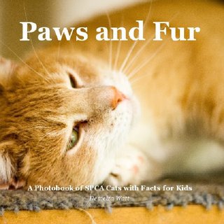 Paws and Fur