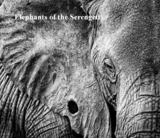 Elephants of the Serengeti