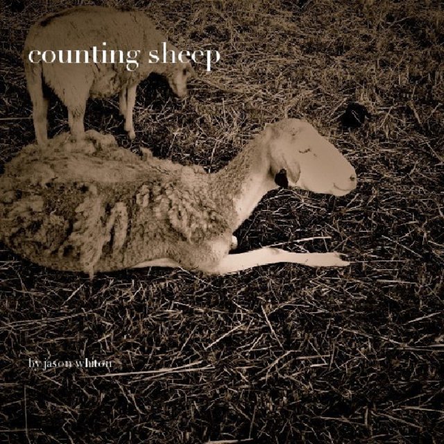 counting sheep