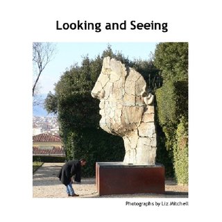 Looking and Seeing