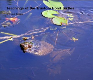 Teachings of the Trustom Pond Turtles