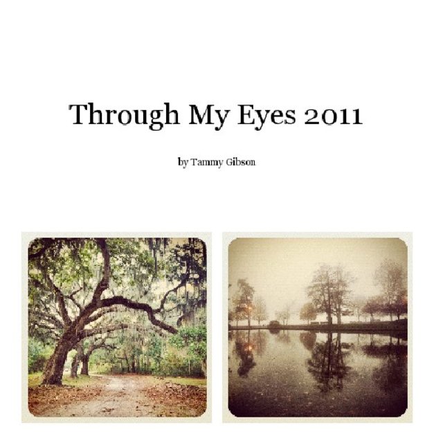 Through My Eyes 2011