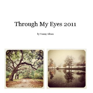 Through My Eyes 2011