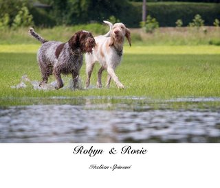 Robyn  &  Rosie