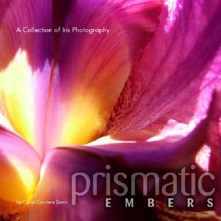 Prismatic Embers