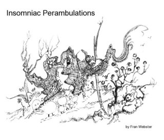 Insomniac Perambulations