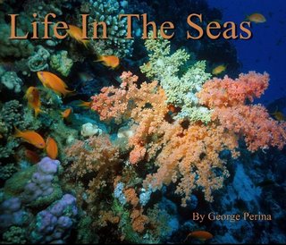 Life In The Seas
