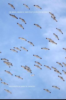 ON WING, BRANCH, AND POST | NOTEBOOK