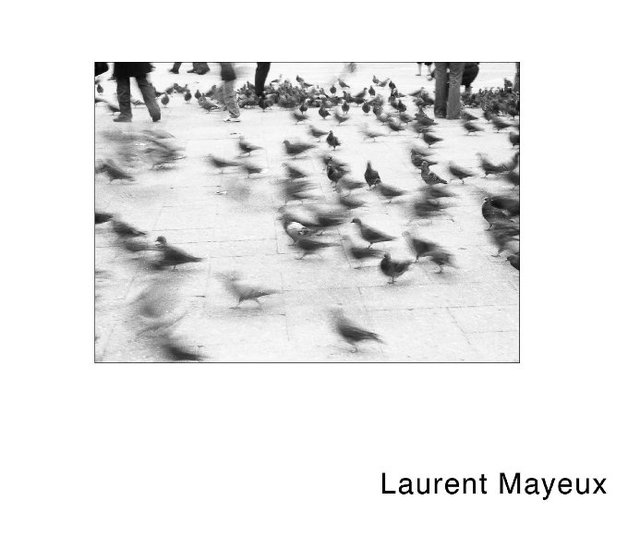 Portfolio Laurent Mayeux