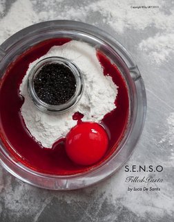 S.E.N.S.O.