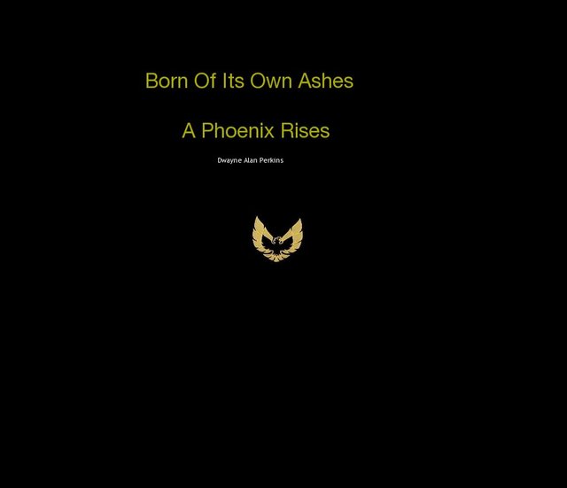 Born Of Its Own: Ashes A Phoenix Rises