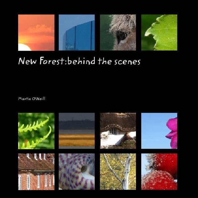 New Forest:behind the scenes