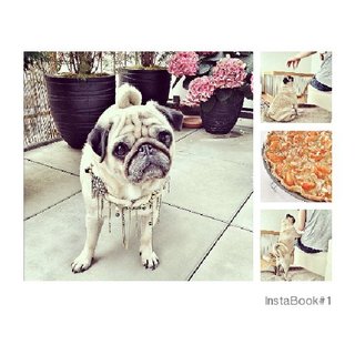 InstaBook#1