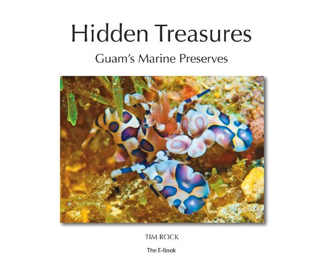 Hidden Treasures (Enhanced)