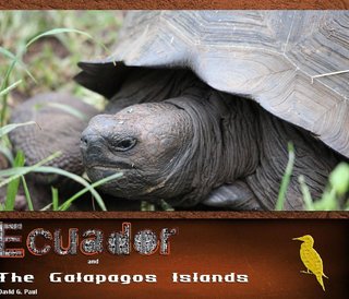 Ecuador and the Galapagos Islands