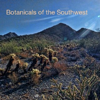 Botanicals of the Southwest