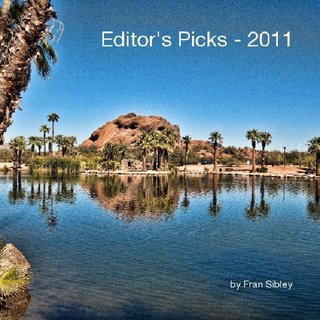 Editor's Picks - 2011