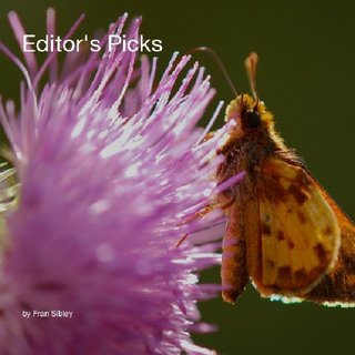 Editor's Picks