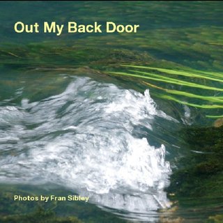 Out My Back Door