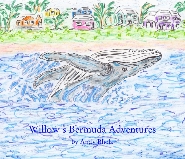 Willow's Bermuda Adventures