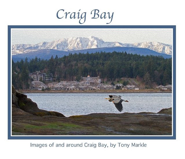 Craig Bay