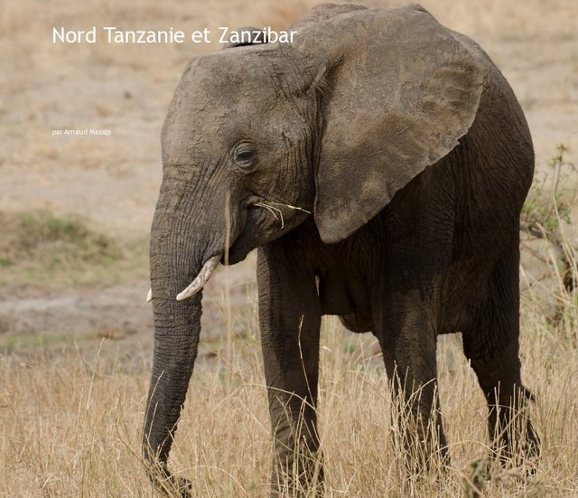 Nord Tanzanie et Zanzibar