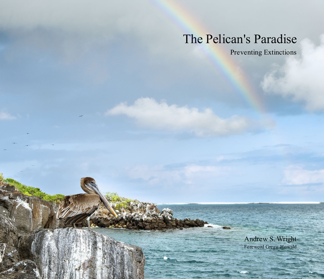 Pelican's Paradise