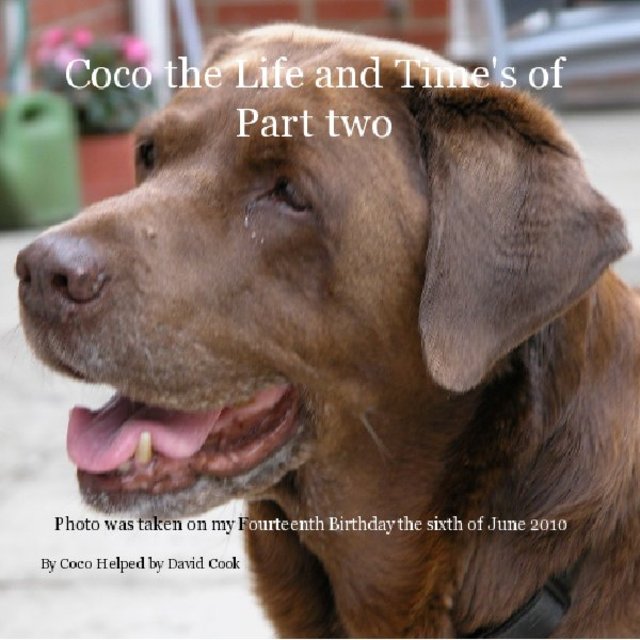 Coco the Life and Time's of Part two