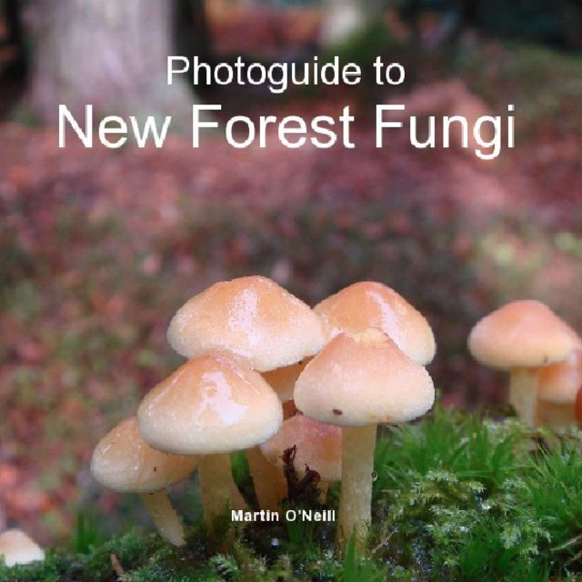 Photoguide to New Forest Fungi