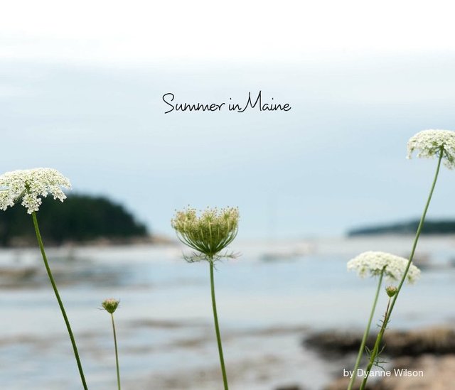 Summer in Maine